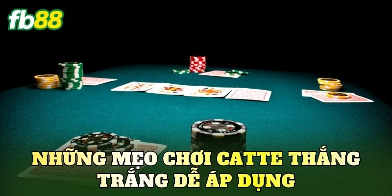 Những mẹo chơi Catte thắng trắng dễ áp dụng