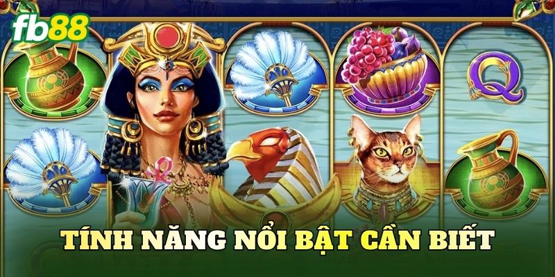 Tính năng nổi bật cần biết